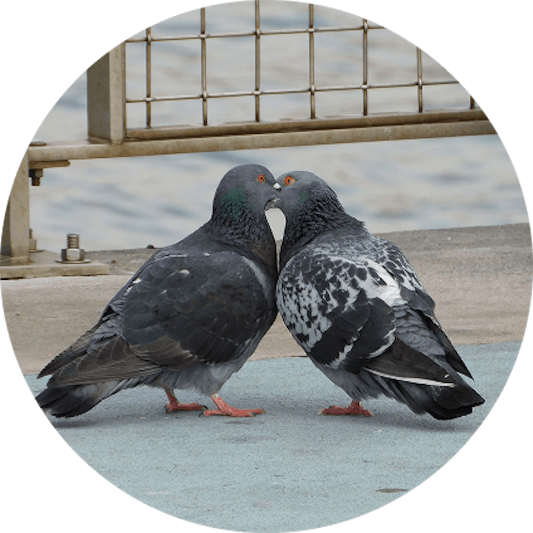 People meeting in NYC