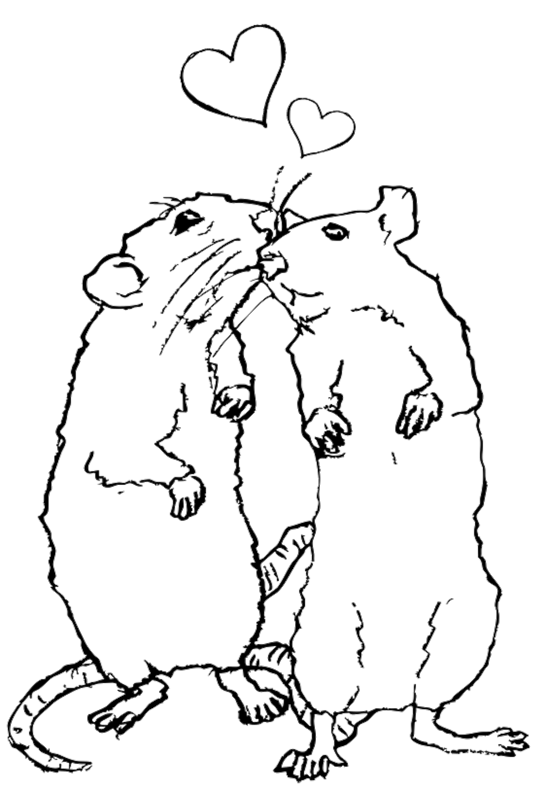 Real connections in NYC