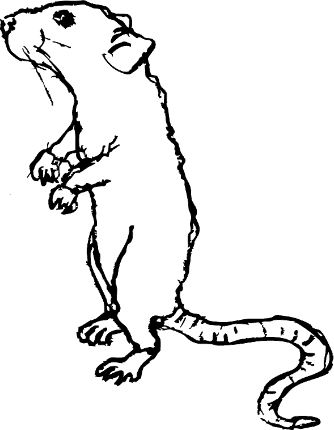 New York street scene